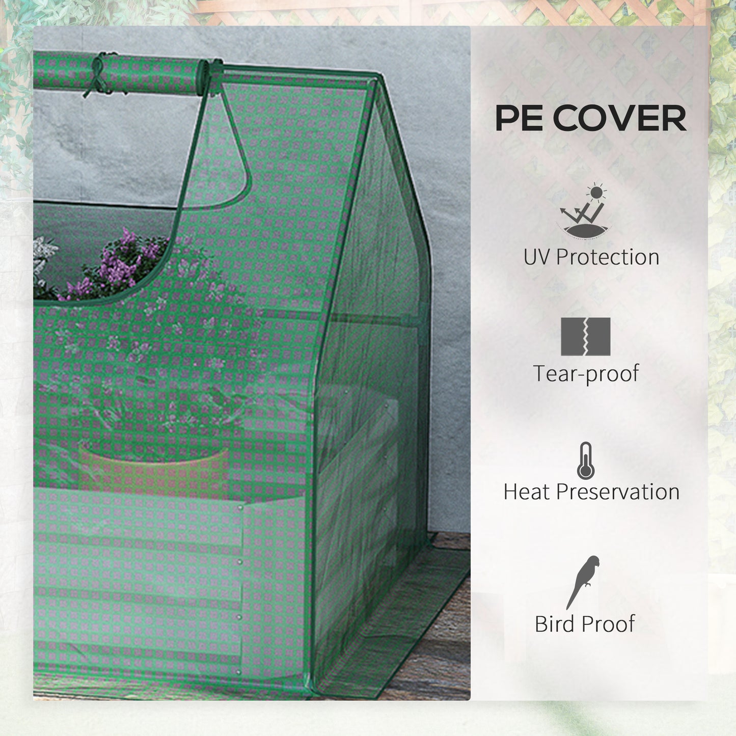 Mini Greenhouse