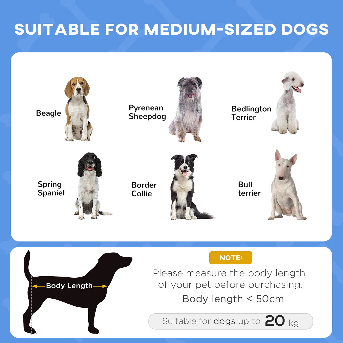 Elevated Dog Bed