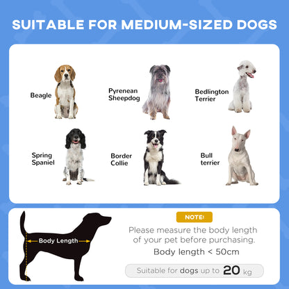 Elevated Dog Bed