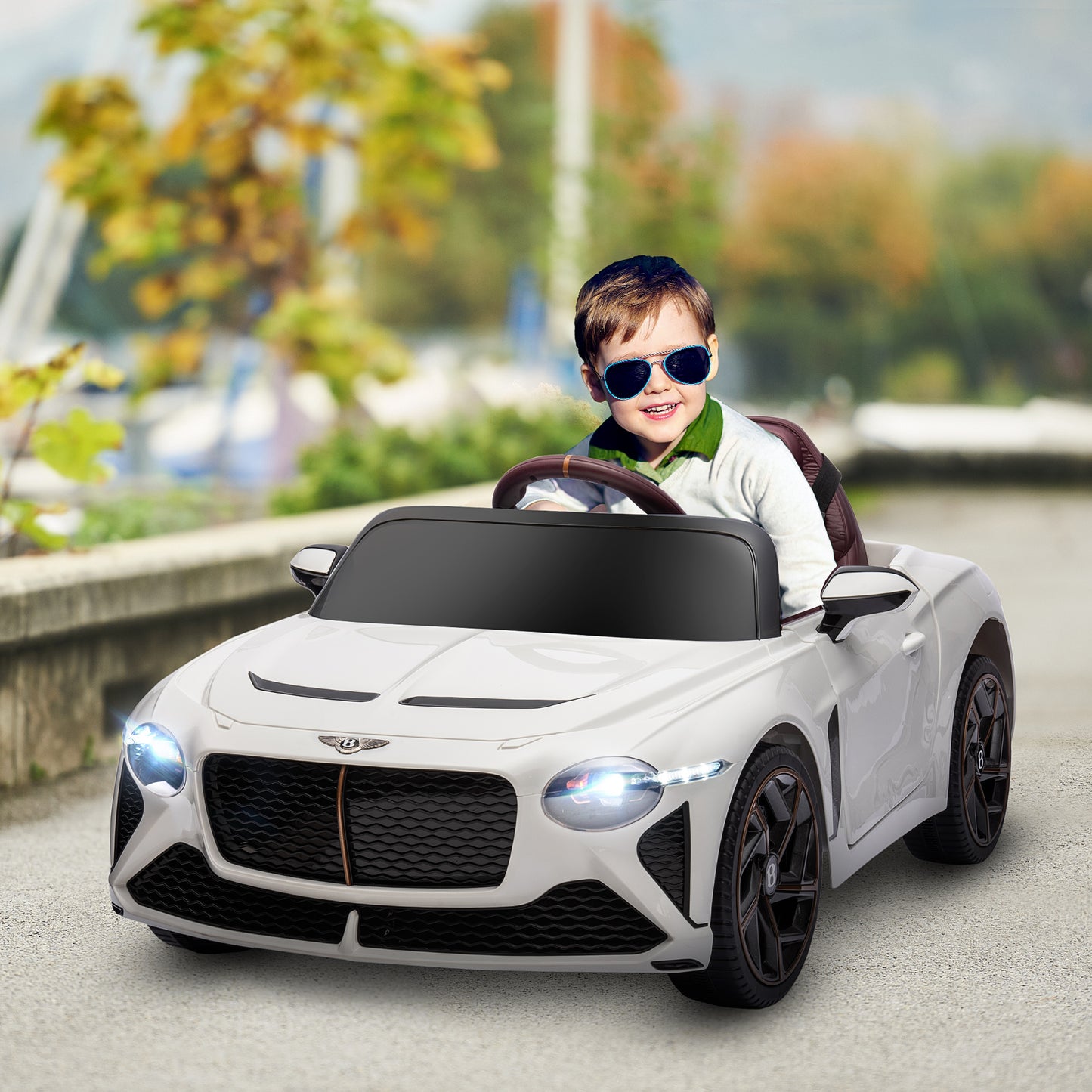 Electric Ride-on Car