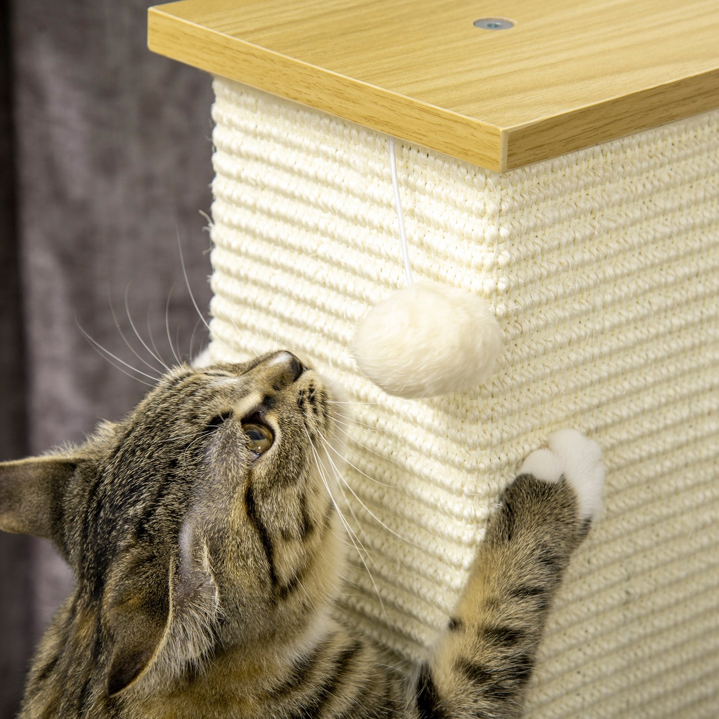 80cm Indoor Cat Scratching Post with Hanging Ball Toy, Particle Board Base, Natural Sisal Rope, Cat Furniture - White