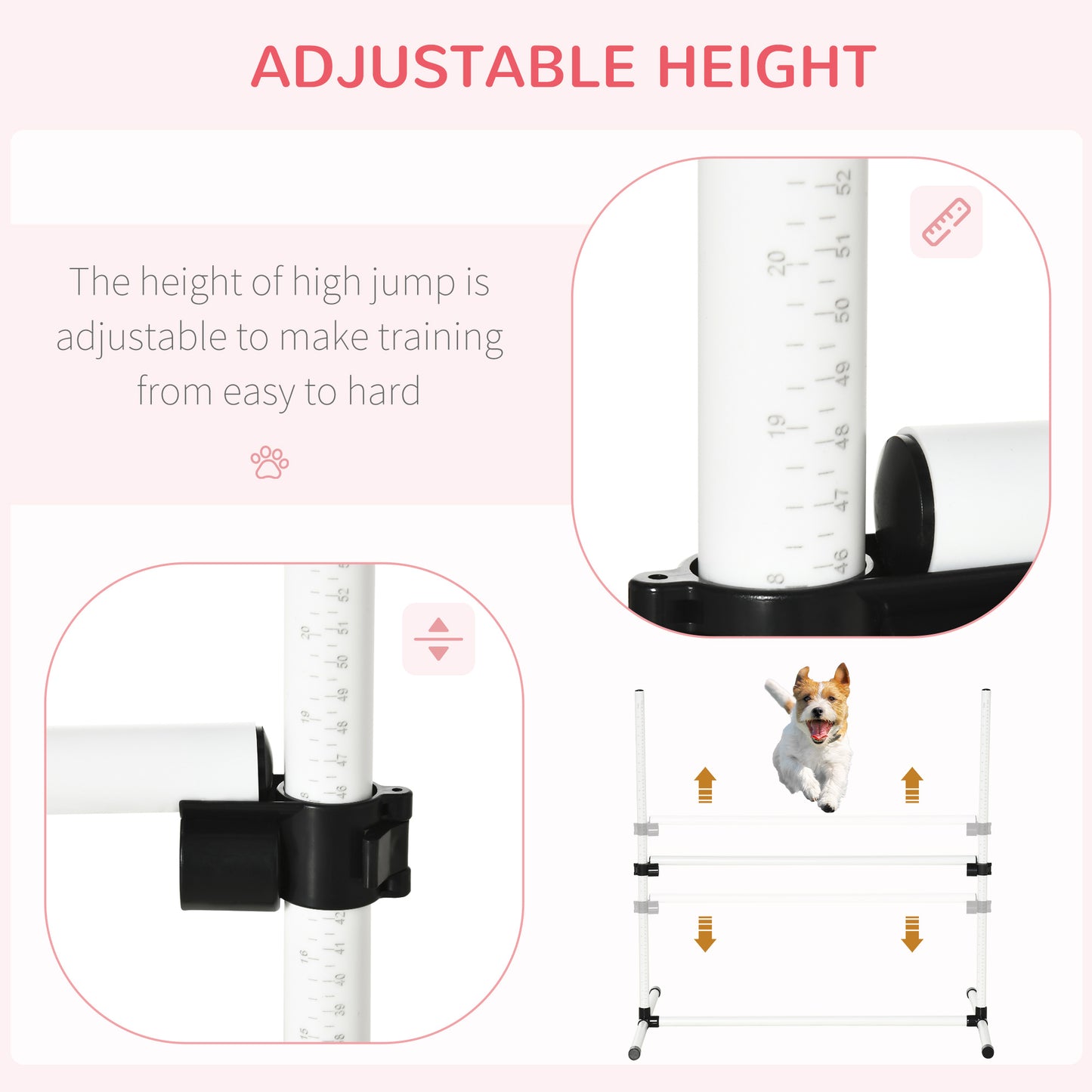 Pet Agility Set