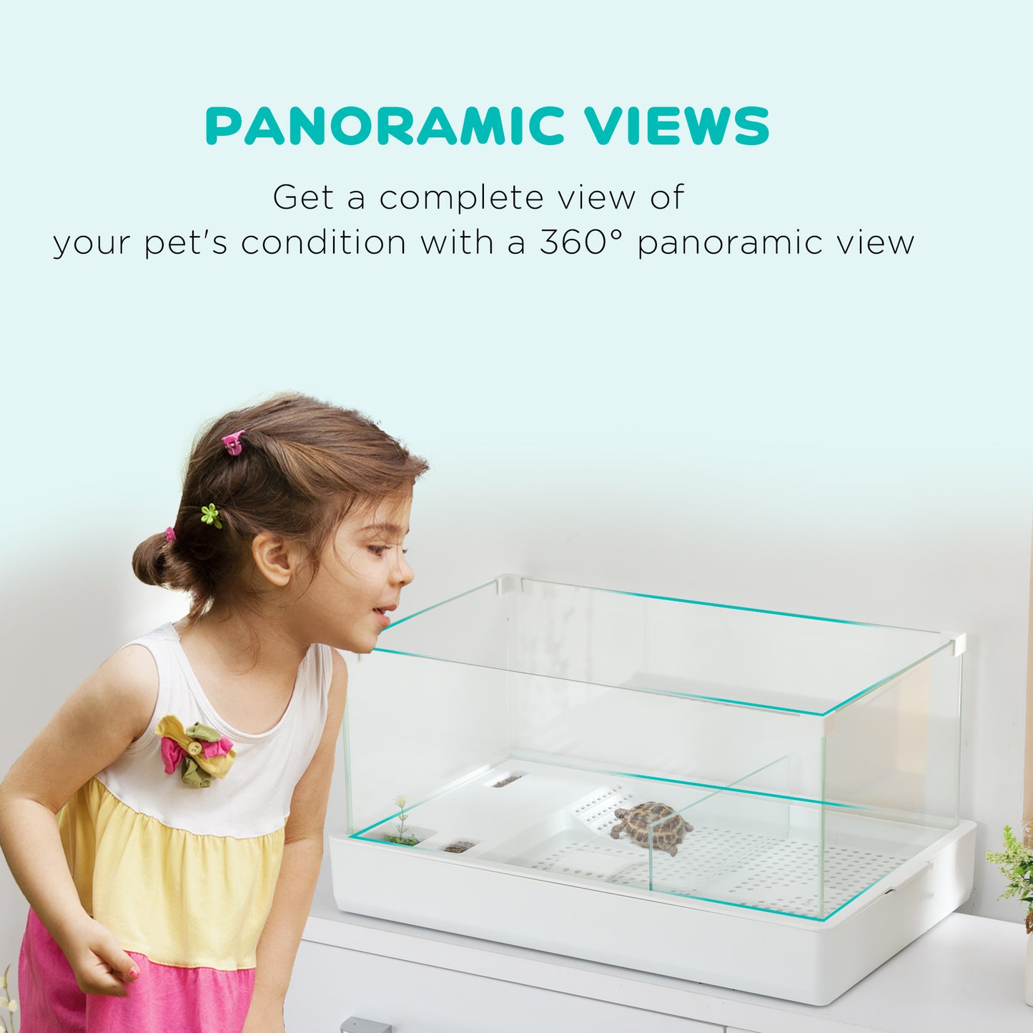 Turtle Tank