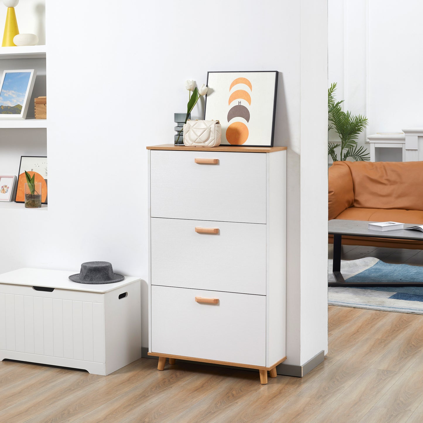 Shoe Cabinet