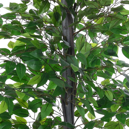 Artificial Plants