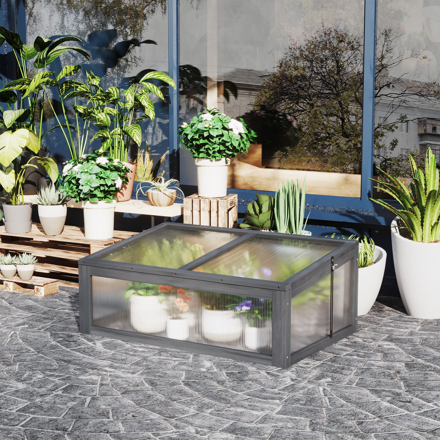 Cold Frame/Grow Tent