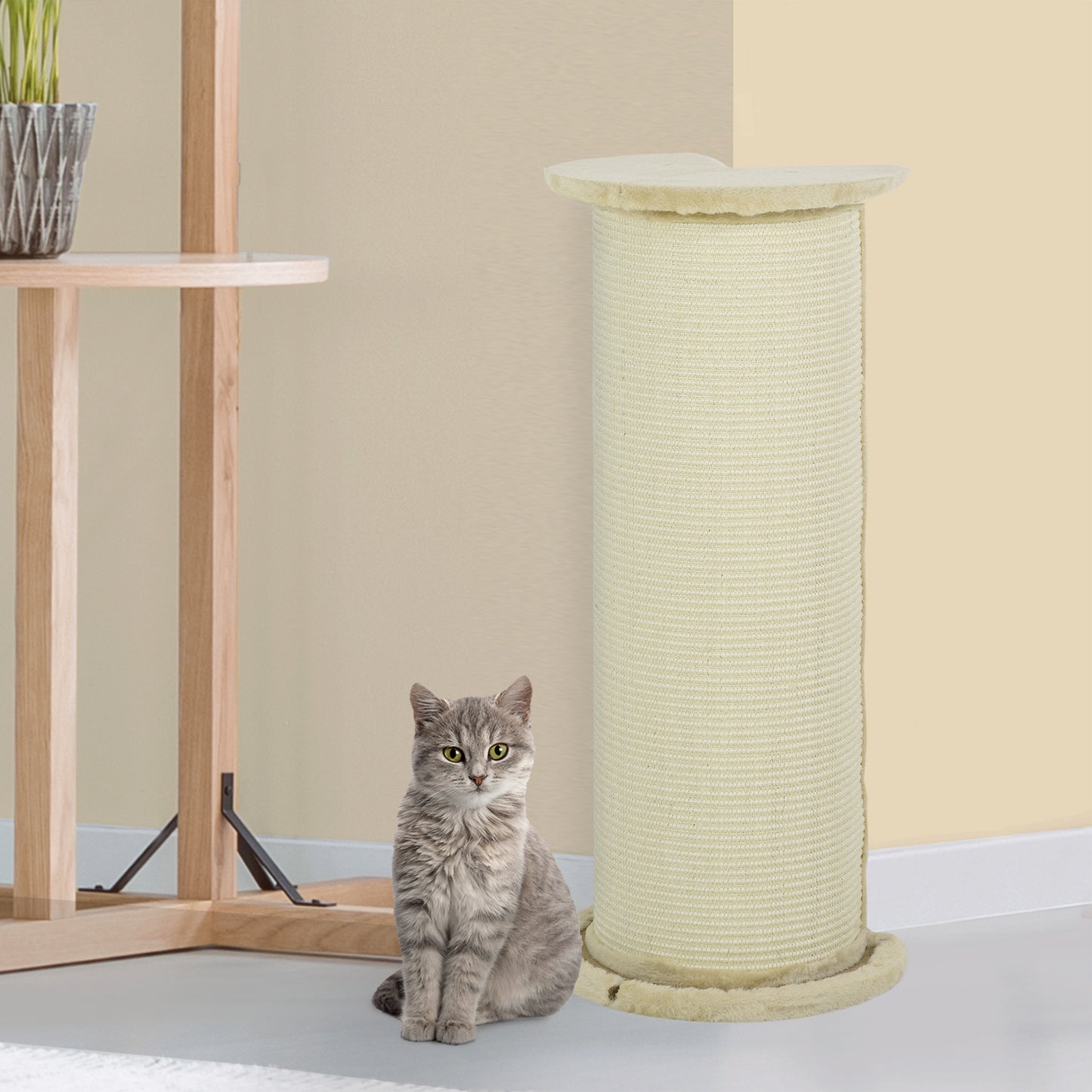 Cat Scratching Post