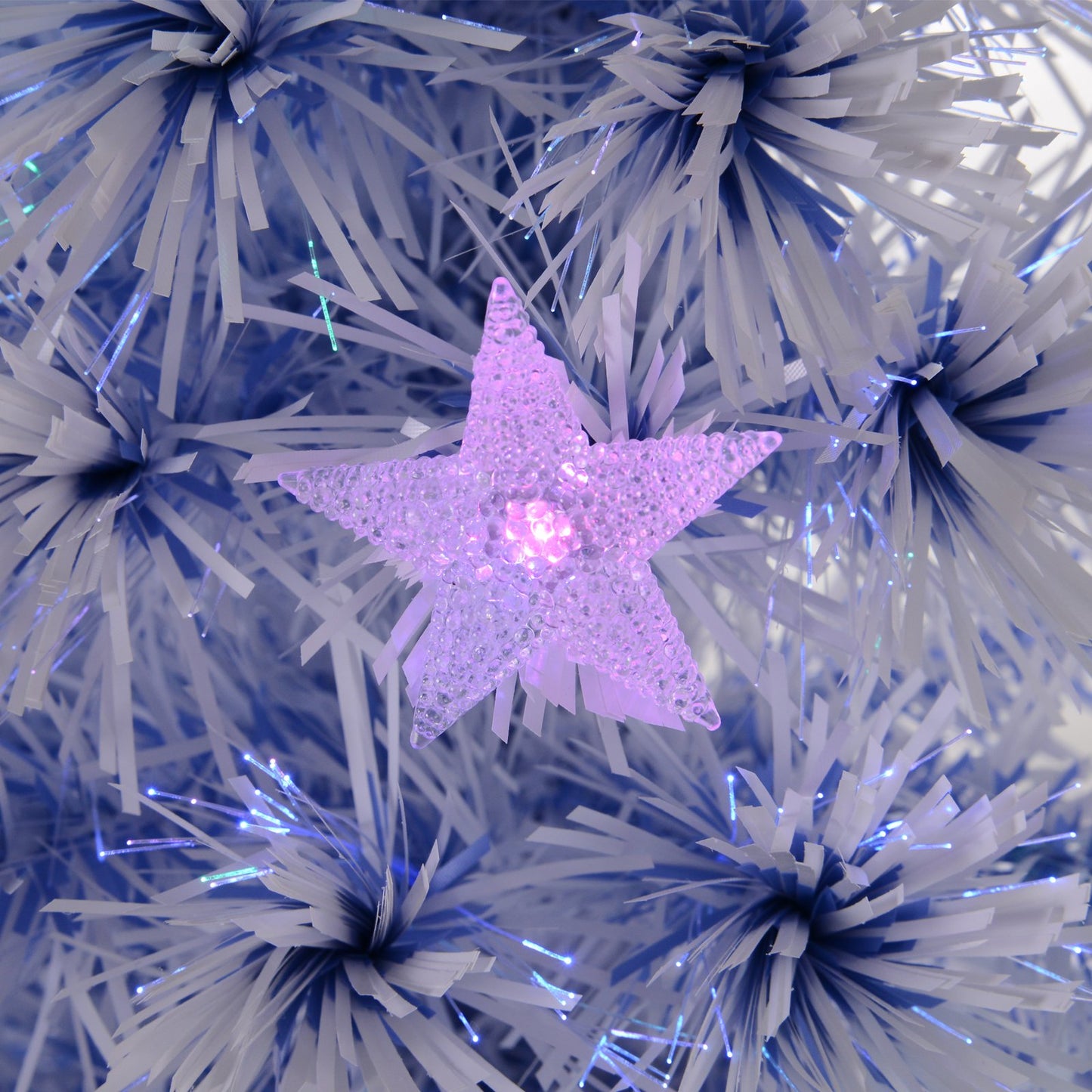 Chirstmas Tree