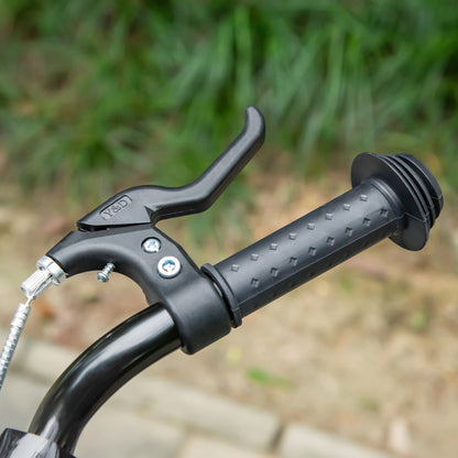 Kids Scooter